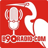 B90 Radio   FM