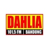 Dahlia Bandung