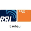RRI PRO 1 Baubau