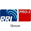 RRI PRO 3 Skouw