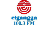 Logo Elgangga FM