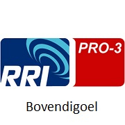 Logo RRI PRO 3 Bovendigoel