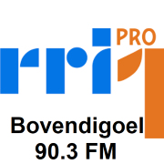 Logo RRI PRO 1 Bovendigoel