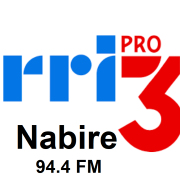 Logo RRI PRO 3 Nabire