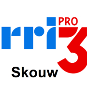 Logo RRI PRO 3 Skouw