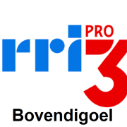 Logo RRI PRO 3 Bovendigoel