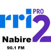 Logo RRI PRO 2 Nabire