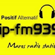 Logo Zip FM